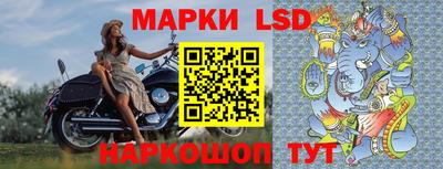 Альфа ПВП Кандалакша