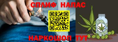 Альфа ПВП Кандалакша