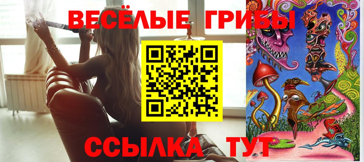 Галлюциногенные грибы GOLDEN TEACHER  Псилоцибиновые грибы мухоморы  Ялта  Вход с VPN 