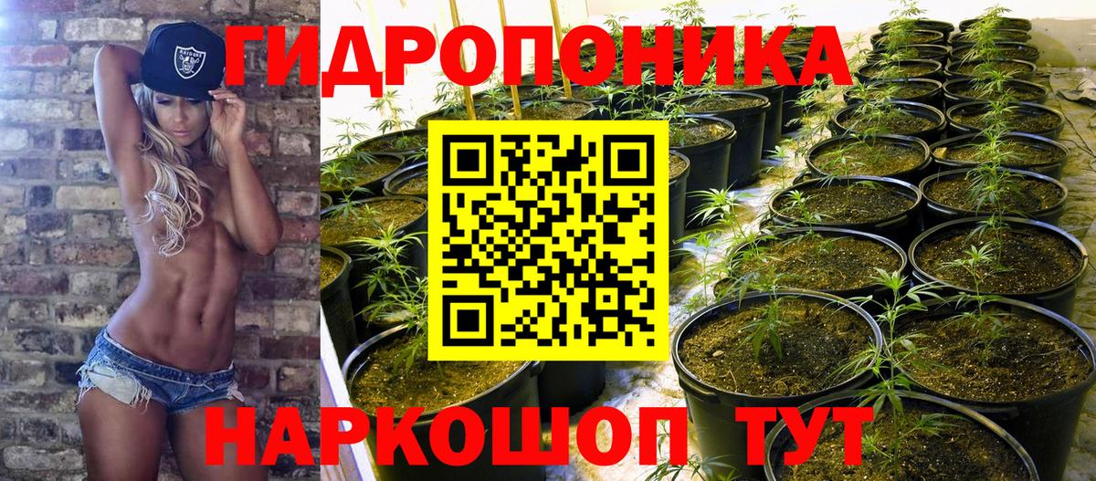 Каннабис AK-47  МАРИХУАНА White Widow  Ялта  МАРИХУАНА MAZAR  Вход с VPN 